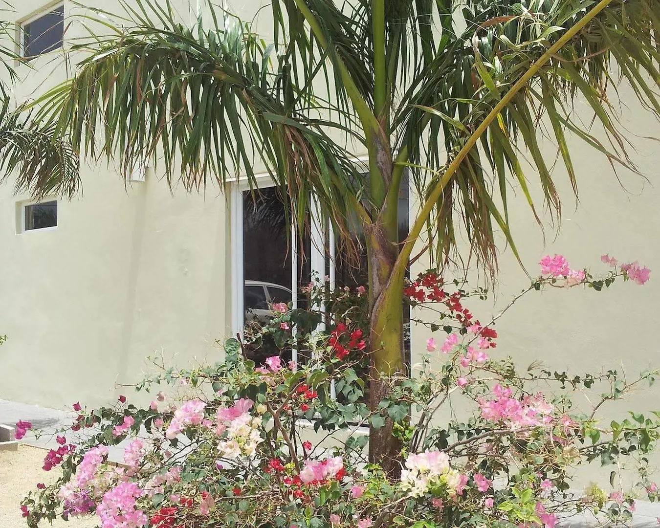 Agua Clara Eco Suites Oranjestad