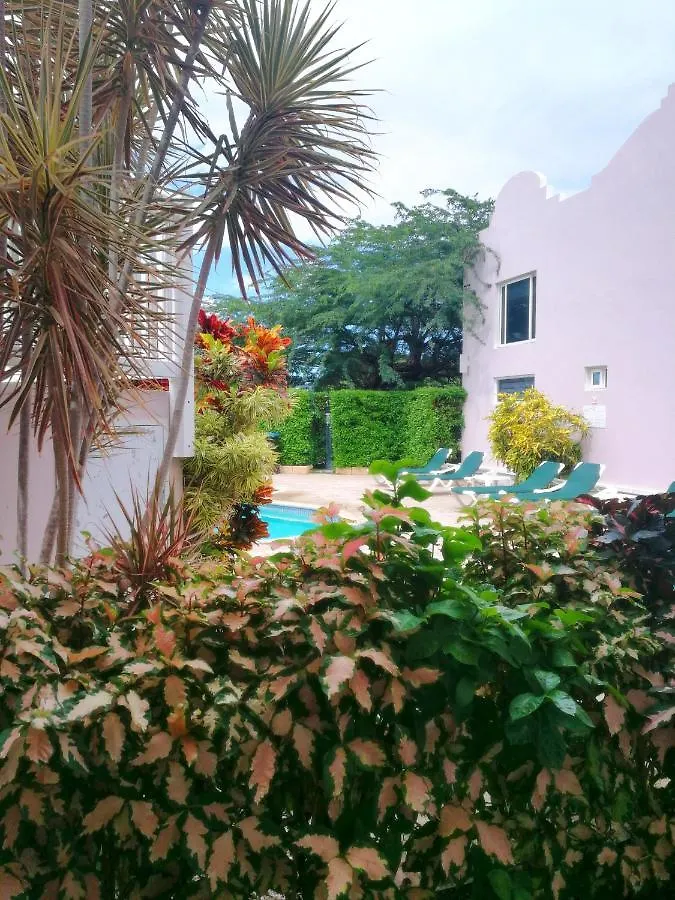 Apartment Agua Clara Eco Suites Oranjestad Aruba